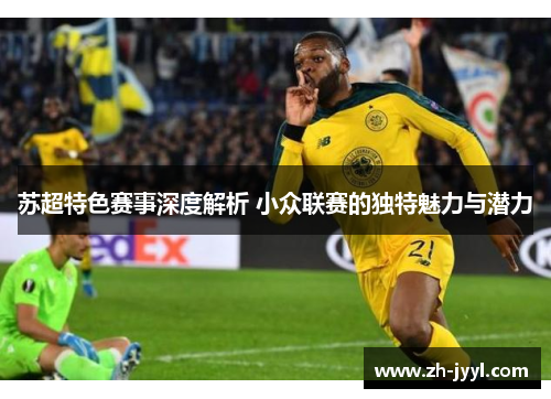 苏超特色赛事深度解析 小众联赛的独特魅力与潜力
